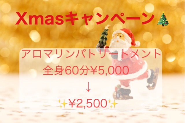 Xmasキャンペーン50％off★12月1日〜12月28日